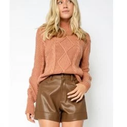 Indigo Boutique Tops Cable Knit Mock Neck Sweater Argon