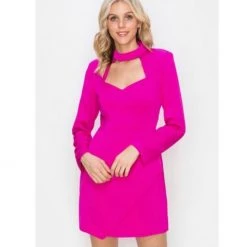 Indigo Boutique Gleely Mock Neck Dress In Fuchsia And Black